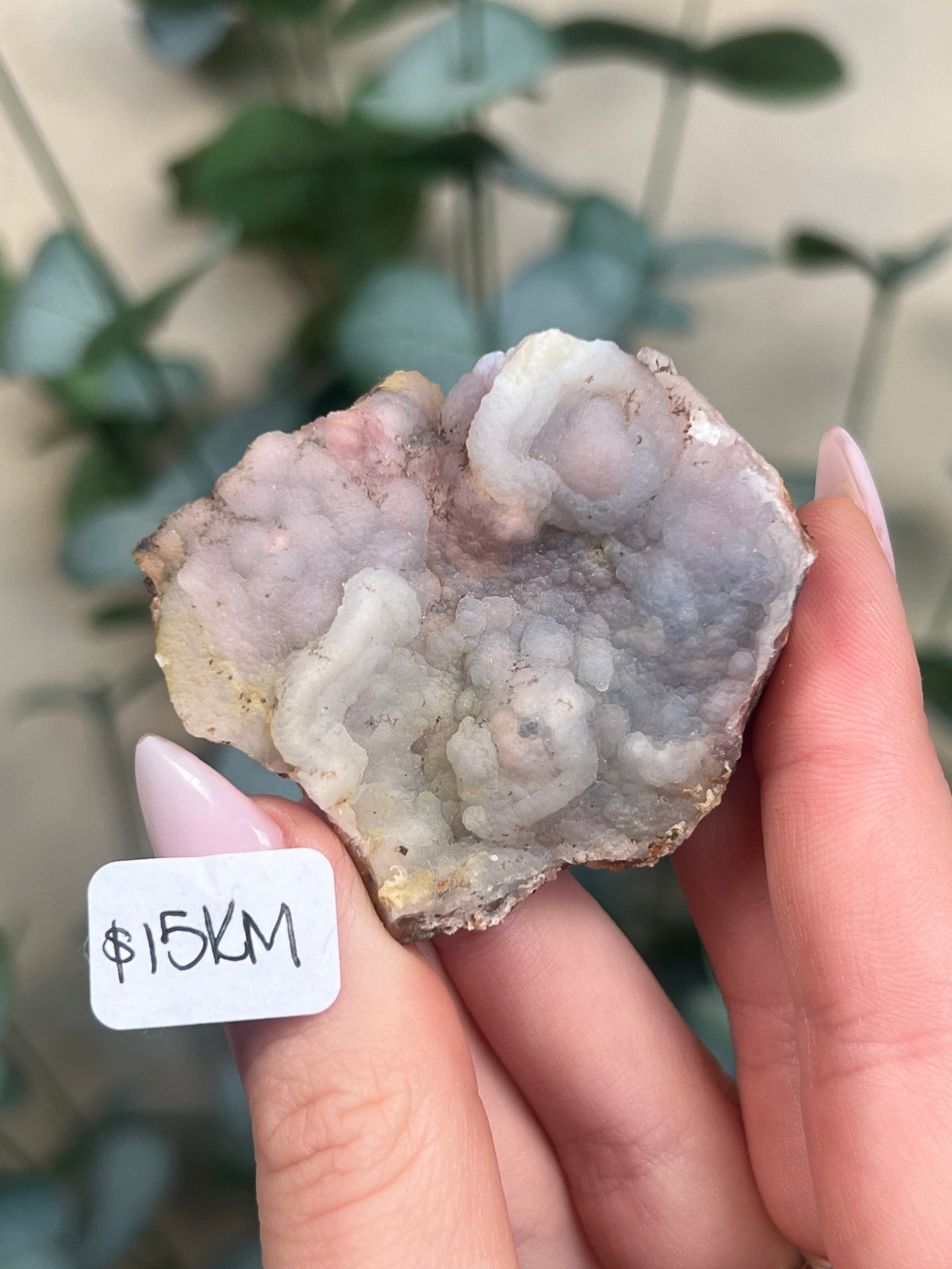 Pink Chalcedony Geodes (8 options)